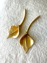 Load image into Gallery viewer, Zantedeschia