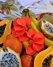 Load image into Gallery viewer, PREORDER: MICAÉLA STATEMENT STUDS (Papaya)
